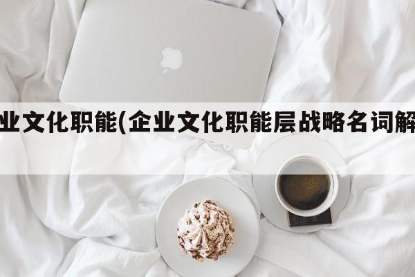 企业文化职能(企业文化职能层战略名词解释)